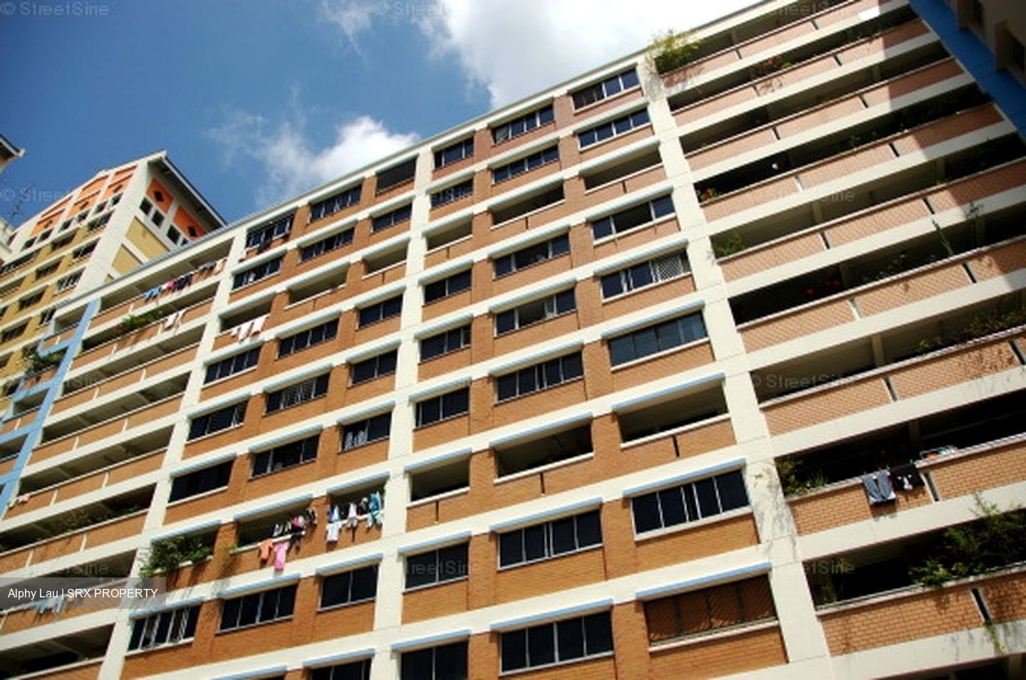 Blk 418 Fajar Road (Bukit Panjang), HDB 5 Rooms #559137771